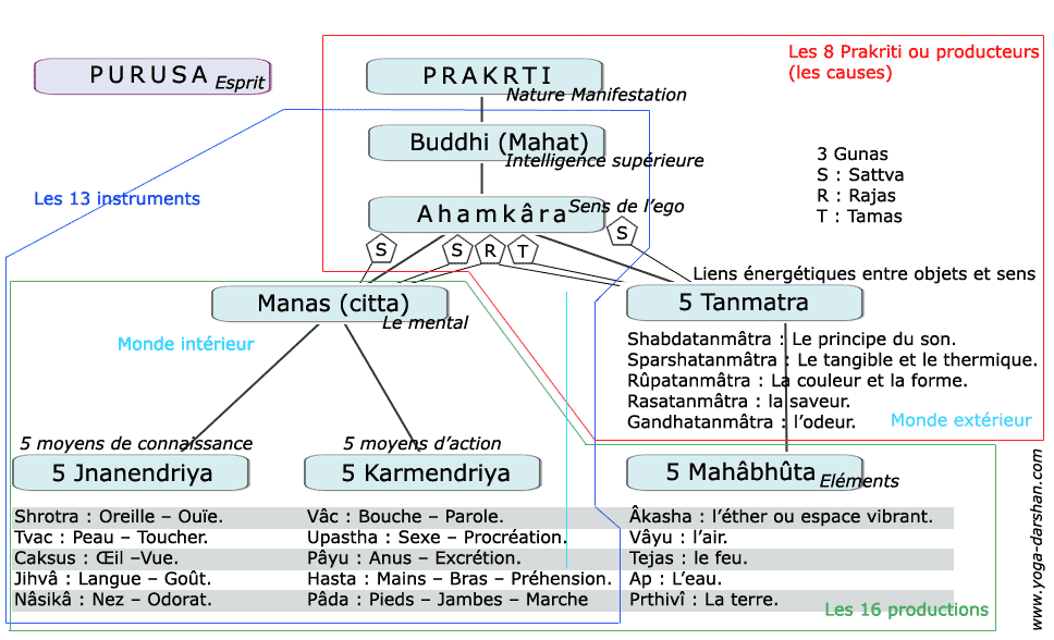 Schéma des tattvas du Samkhya