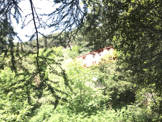 Haimavati est un lieu de pratique du Hatha Yoga et de la spiritualité dans l'Hérault à MONS 34390